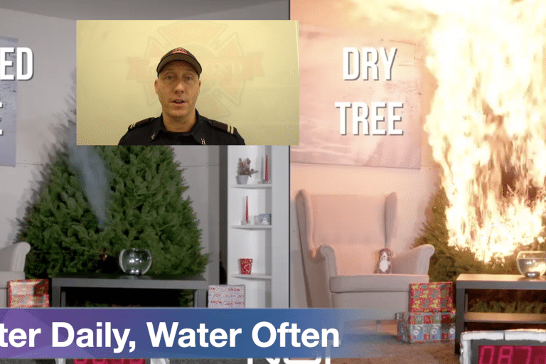 Vlog #10 – Always Water your Christmas Tree