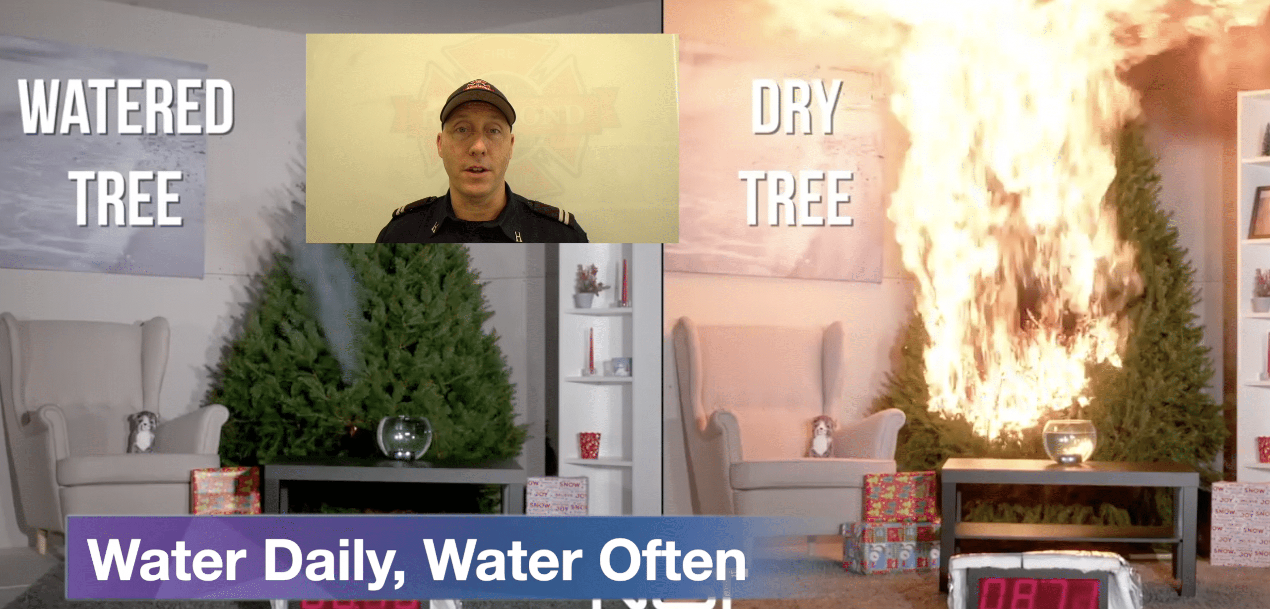 Vlog #10 – Always Water your Christmas Tree